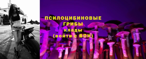 ECSTASY Приозерск