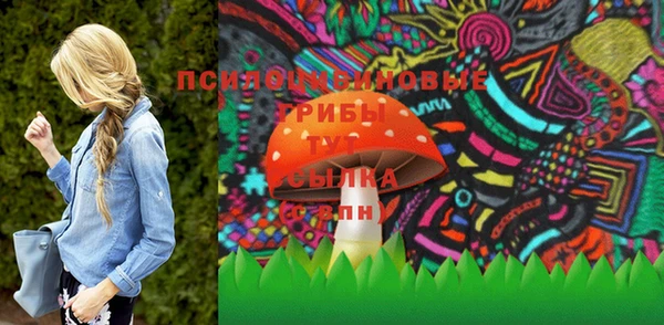 МДПВ Абдулино