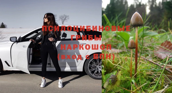 МДПВ Абдулино