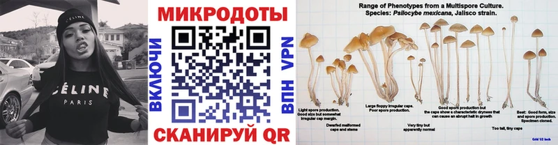 Галлюциногенные грибы прущие грибы  Подпорожье 